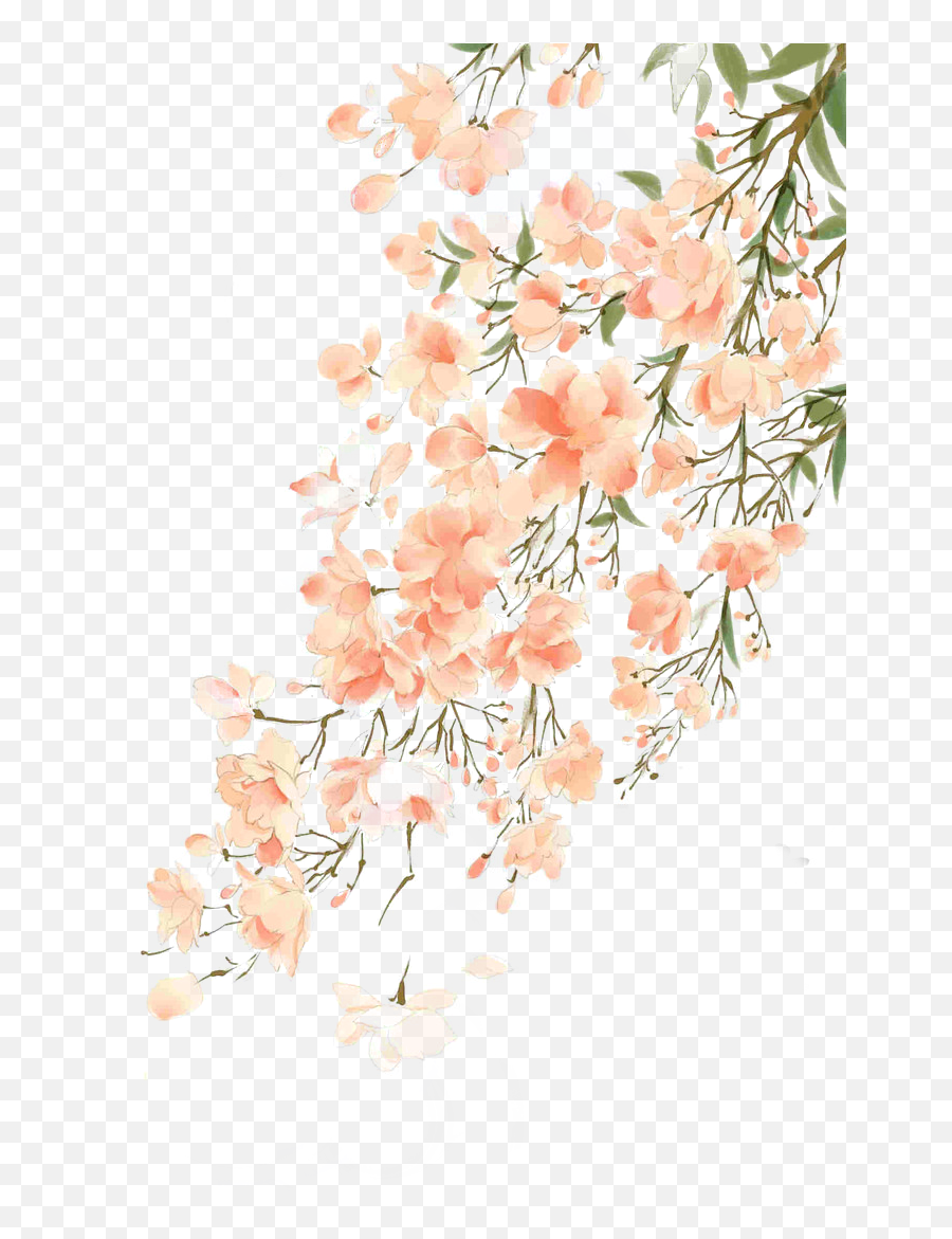 Beautiful Flower Illustration Antiquity Watercolor - Chinese Chinese Flowers Transparent Background Png,Flower Illustration Png