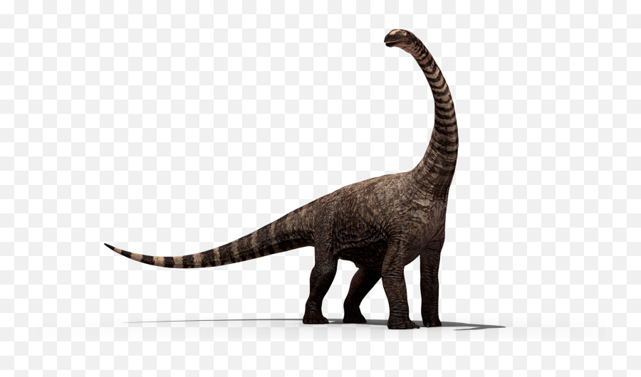 Happy Dinosaur - Long Neck Dinosaur Png,Brachiosaurus Png