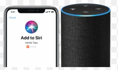 Siri Arab News - Alexa png
