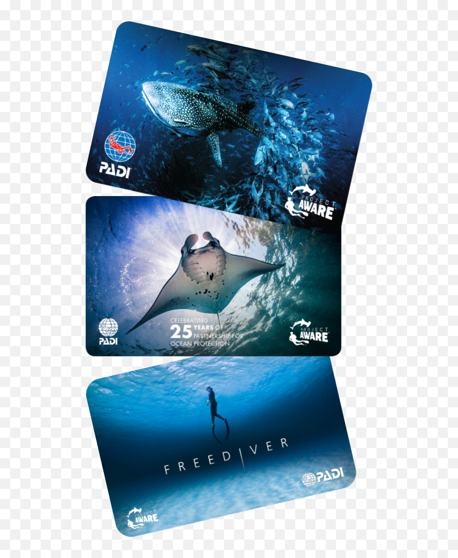 Padi Project Aware - Padi Project Aware Cards Png,Card Suit Png