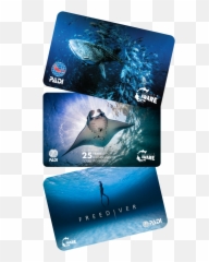 Padi Project Aware - Cards png
