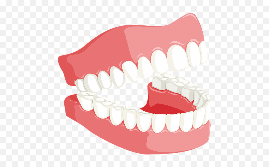 Download Hd Teeth - Teeth Png Transparent Png Dental Png,Teeth Png