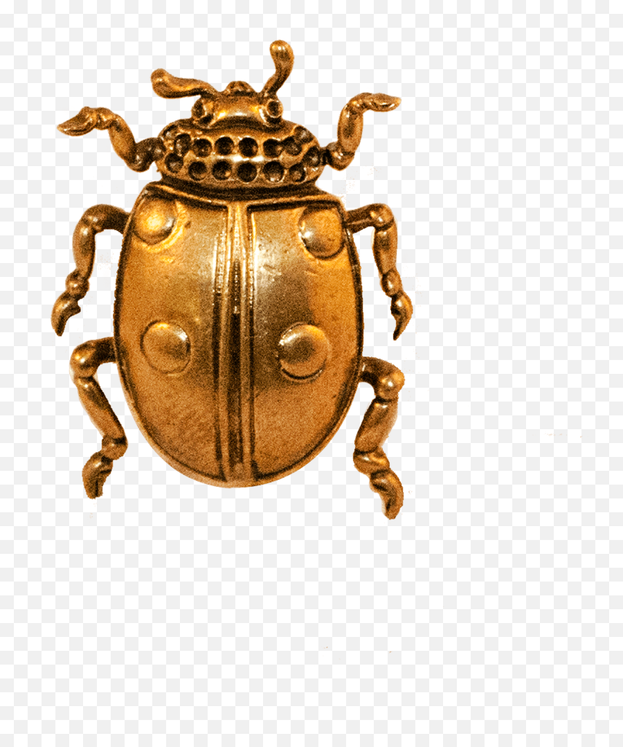 Ladybird Door And Cabinet Knob By Brass Brothers In - Ten Lined June Beetle Png,Knob Png