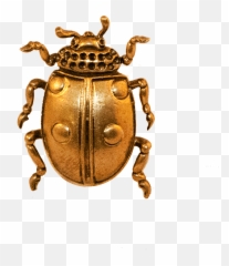Ladybird Door And Cabinet Knob By Brass Brothers In - Ten Lined June Beetle Png,Knob Png