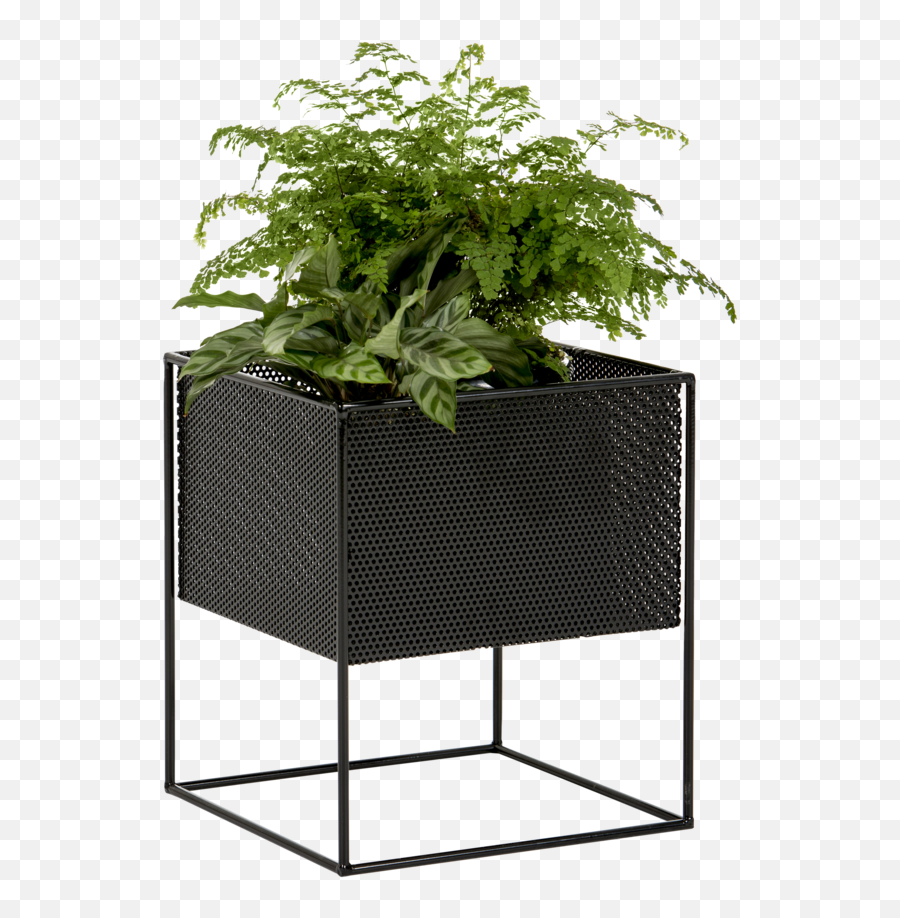 Indoor Planters - Flower Pot Outdoor Png,Planter Png