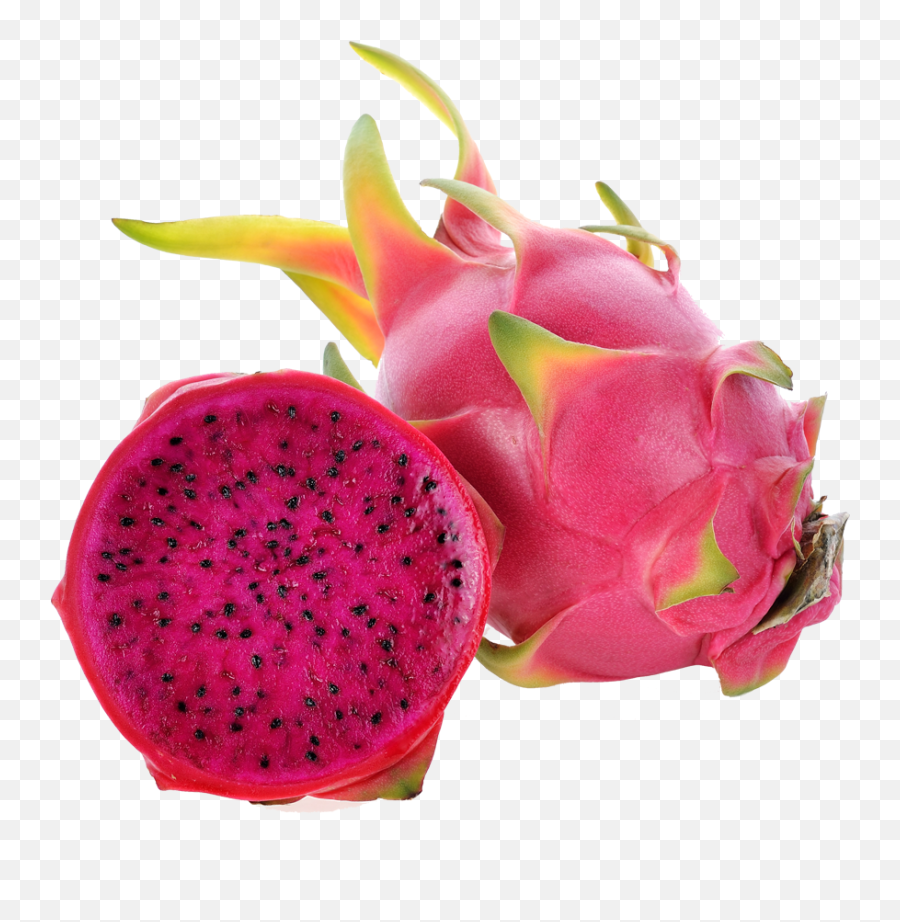 Product - Red Dragon Fruit Png,Dragon Fruit Png