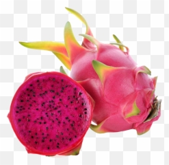 Product - Red Dragon Fruit Png,Dragon Fruit Png