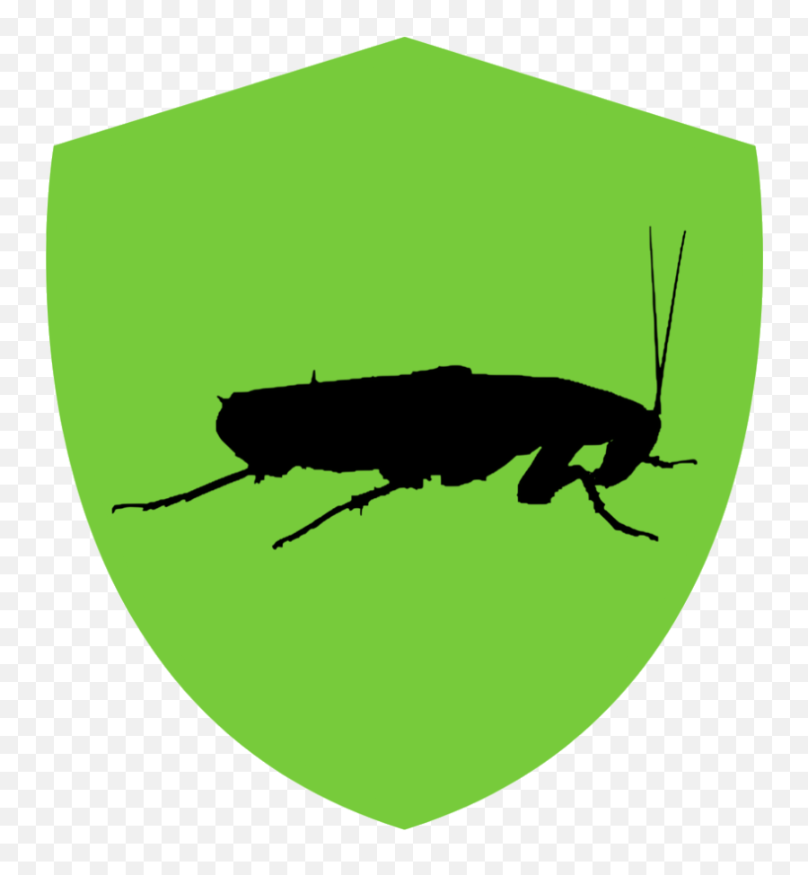 Cockroaches - Illustration Clipart Full Size Clipart Cockroach Silhouette Png,Cockroach Png