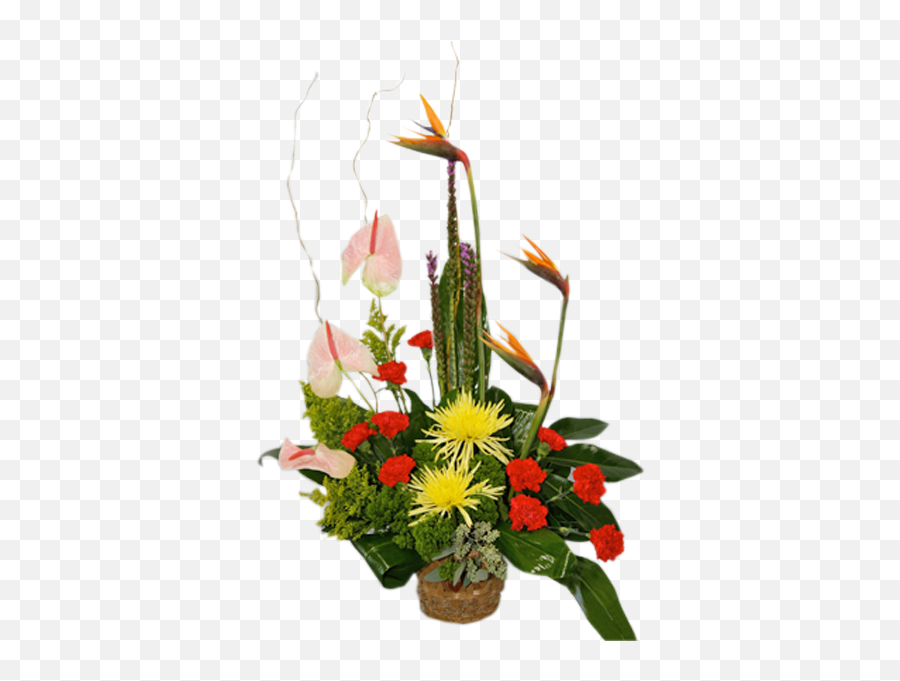 Elegant Tropical - Lovely Png,Tropical Flowers Png