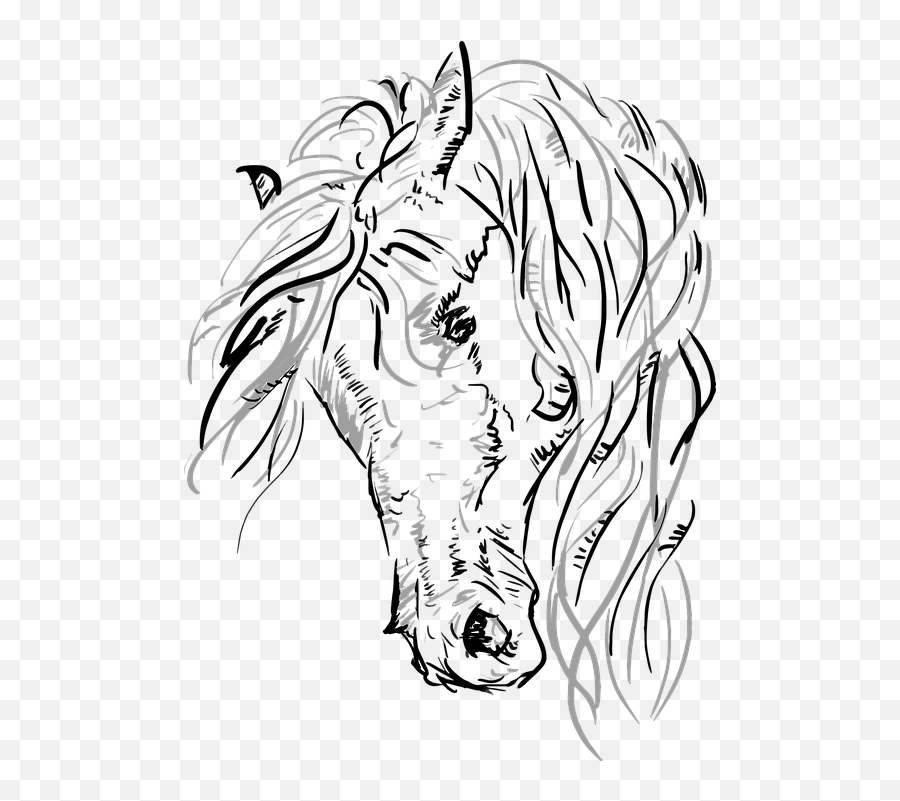 Download Hd Vector Horse Horsehead Grayscale Sketch - Vector Horse Head Svg Png,Horse Head Png