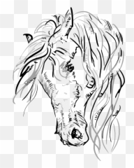 Download Hd Vector Horse Horsehead Grayscale Sketch - Head Svg png