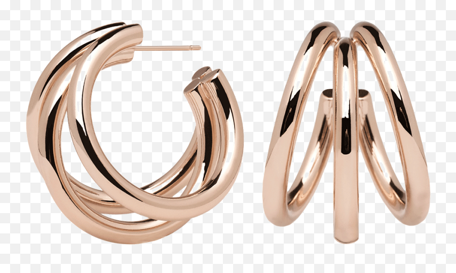 True Rose Gold Earrings - True Rose Gold Earrings Png,Rose Gold Png