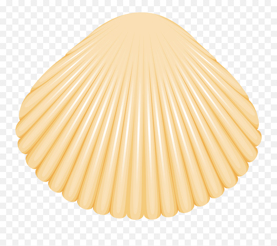 Clam Shell Png Clip Art - Pastel De Home Depot,Clam Png