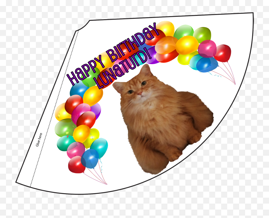 Birthday Month Celebration Lunaturd Cat - Party Hat To Print Png,Birthday Hats Png