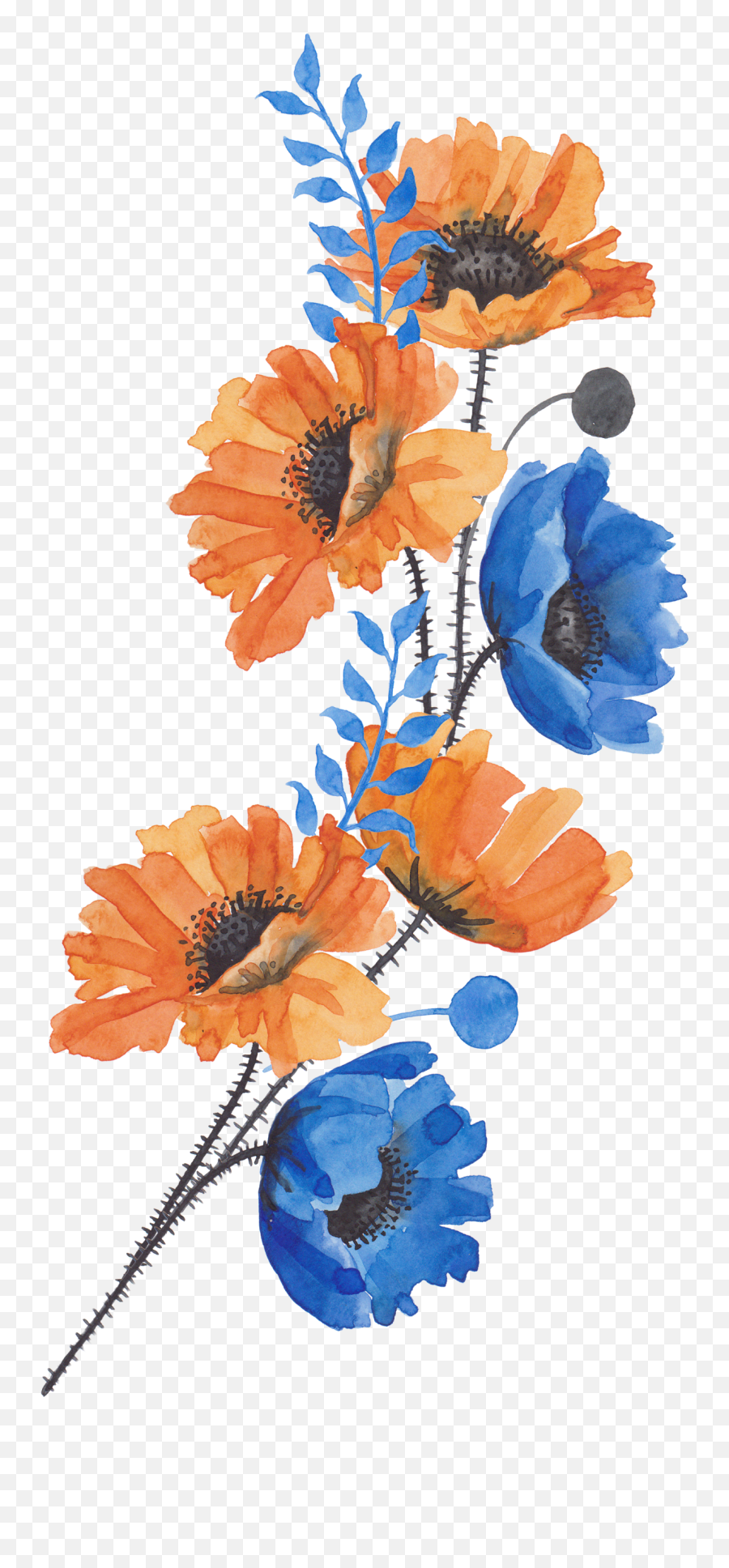 Bouquet Of Flowers - Transparent Image Of Bouquet Of Flower Blue And Orange Flower Png,Flower Bouquet Transparent Background