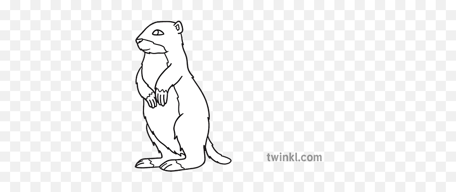 Gopher Animal Sport Inclusion Eyfs Ks1 Black And White Rgb - Groundhog Day Png,Gopher Icon