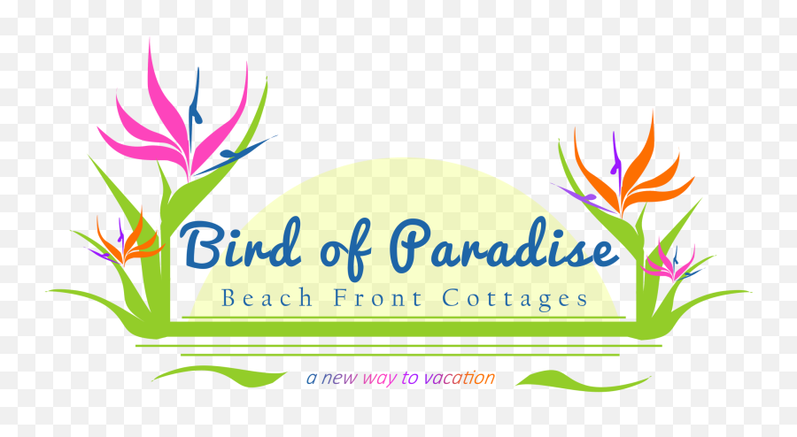 Bird Of Paradise Beach Front Cottages Eleuthera Bahamas - Bird Of Paradise Beachfront Cottages Png,Icon Harbour Island