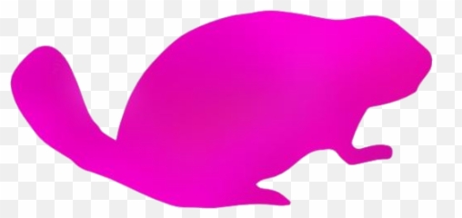 Beaver Png Hd Images Stickers Vectors - Amphibians