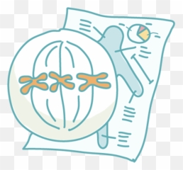 Laboratory Of Chromosome Biology Graduate School - Language png