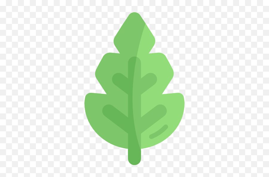 Leaf - Free Nature Icons Clip Art Png,Leaf Icon Vector