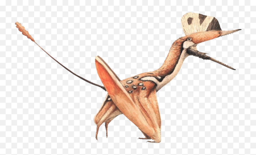 Download Free Png Pterosaurs Image - Darwinopterus Robustodens,Pterodactyl Png