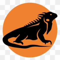 Iguana Inn Hotel Png