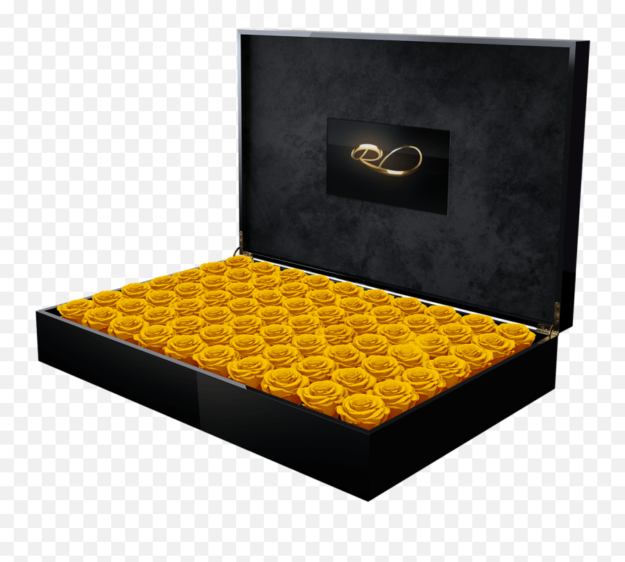 Download Hd Video Flower Box Presidential With 70 Preserved - Box Png,Flower Bed Png