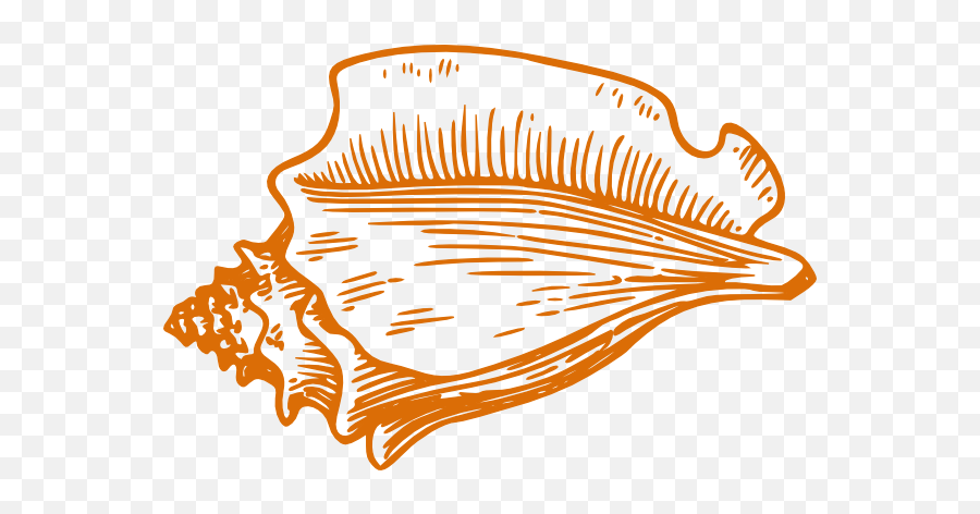 Orange Conch Shell Clip Art - Vector Clip Art Conch Shell Clipart Png,Shell Png