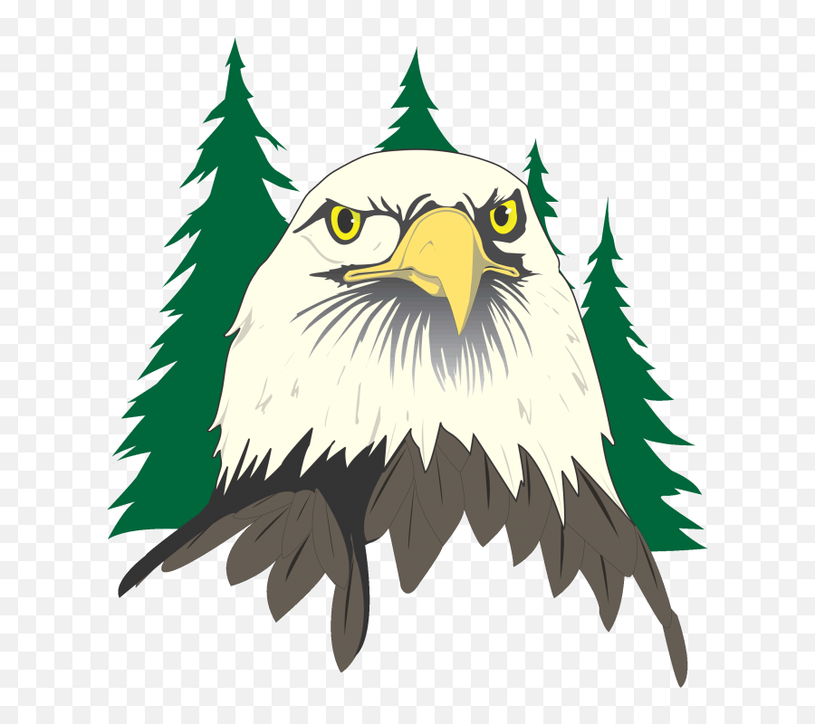 Bald Eagle Head Clip Art - Png Download Full Size Clipart Flagstaff High School Logo,Bald Head Png