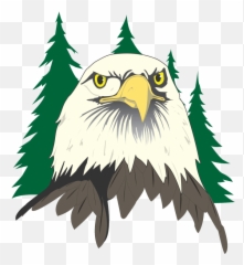 Bald Eagle Head Clip Art - Png Download Full Size Clipart Flagstaff High School Logo,Bald Head Png