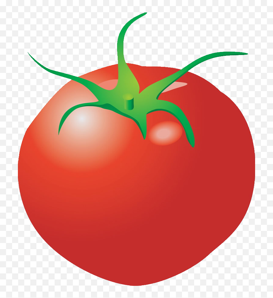Clipart Vegetables Tomato - Tomatoes Cartoon Png,Vegetable Png
