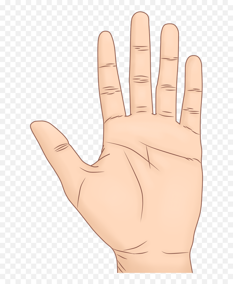 Hand Palma Palm Of The - Free Image On Pixabay Sign Language Png,Palma Png