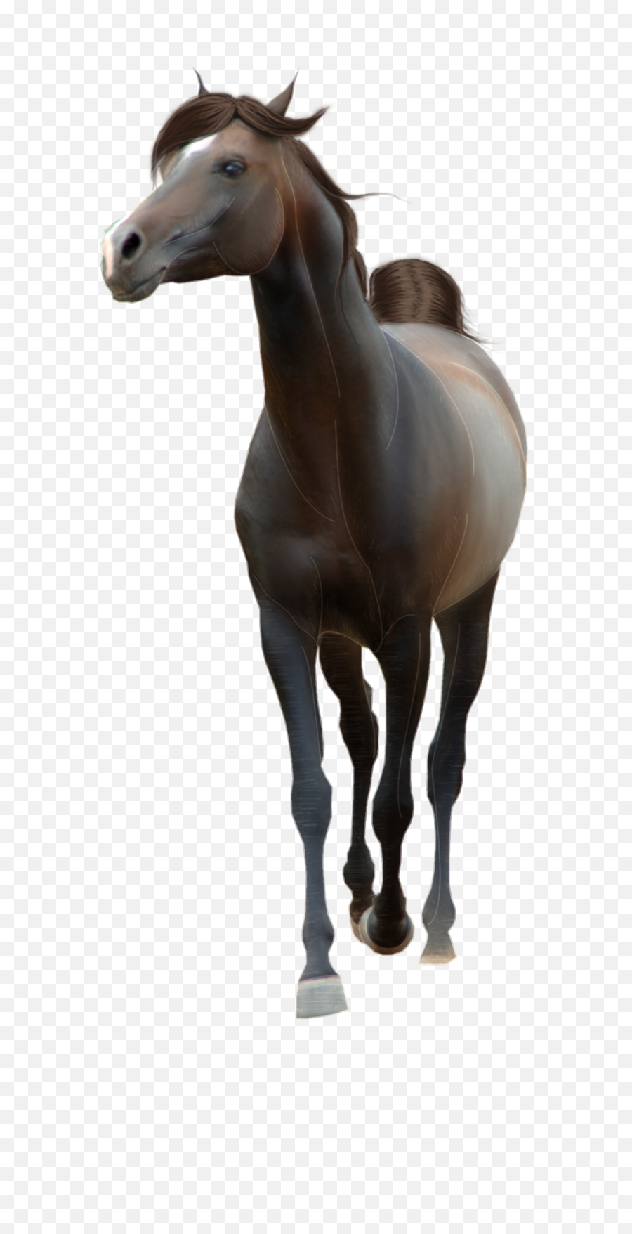 Download Horse Png Transparent Background - Full Size Png Stallion,Horse Transparent Background