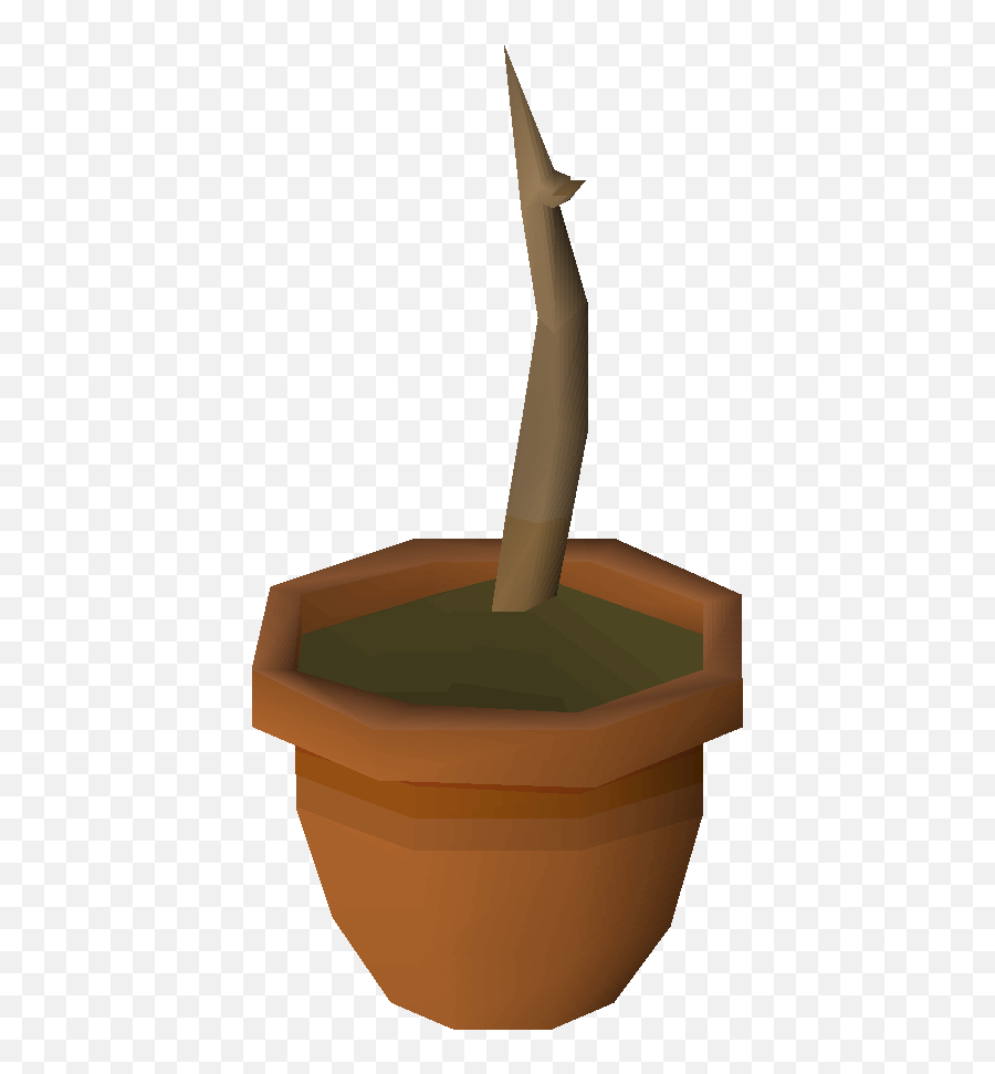 Teak Sapling - Plant Pot Osrs Png,Planting Png