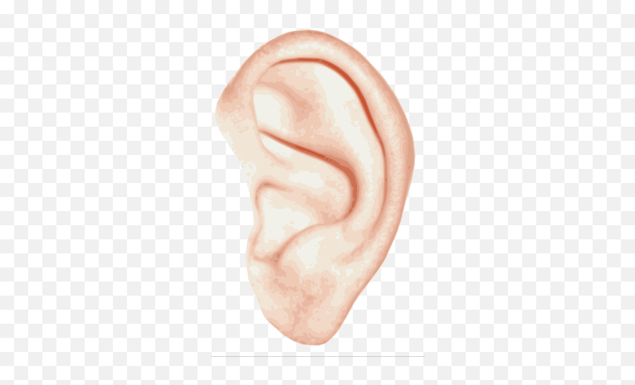 Ear Png - Left Ears,Ear Transparent Background