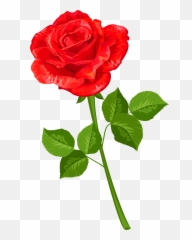Background Clipart Red Flowers Roses Paper - Ross Flower Image Download Png,Paper Flower Png