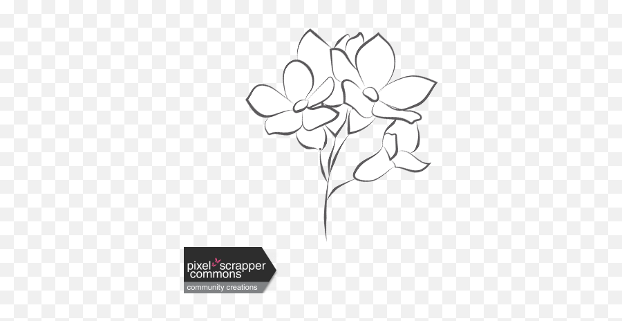 Around The World Flower Line Drawing Graphic By Robin - Rosa Glauca Png,Flower Line Png