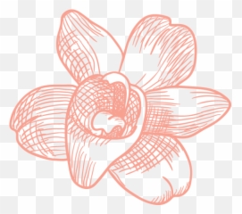 Cropped - flowericon512512png u2013 Lush Body u0026 Soul Mart Museo Di Arte Moderna E Contemporanea Trento Rovereto