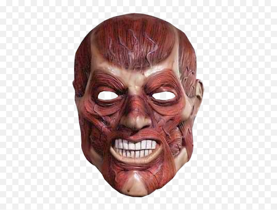 Flesh Face Mask Psd Official Psds - Muscle Head Mask Png,Drama Mask Png