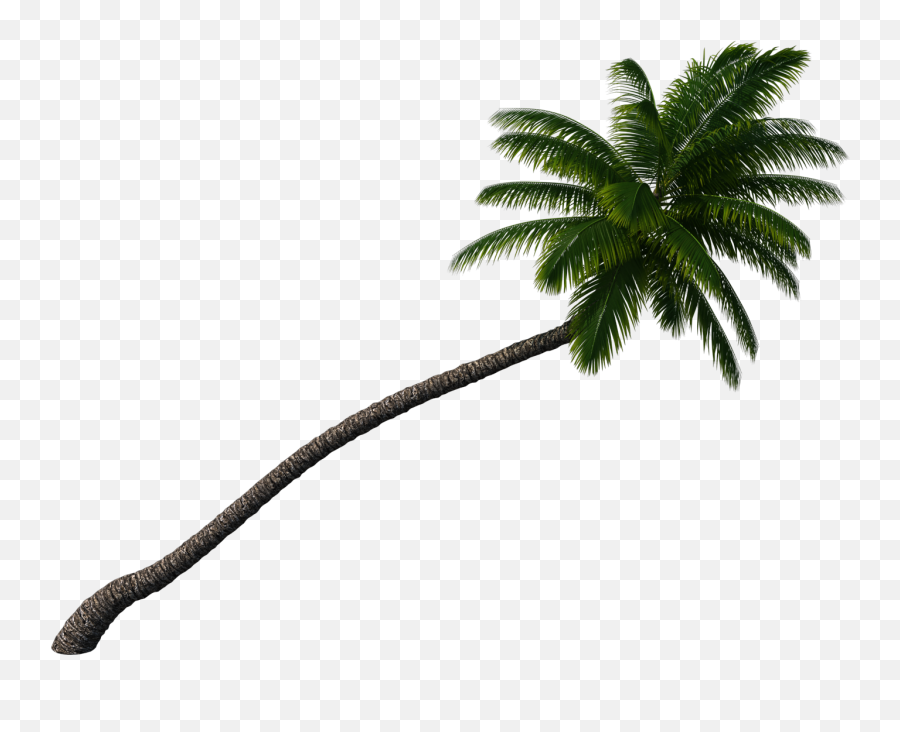 Palm Tree Palmtree Sticker By Madison - Vertical Png,Palm Tree Emoji Png