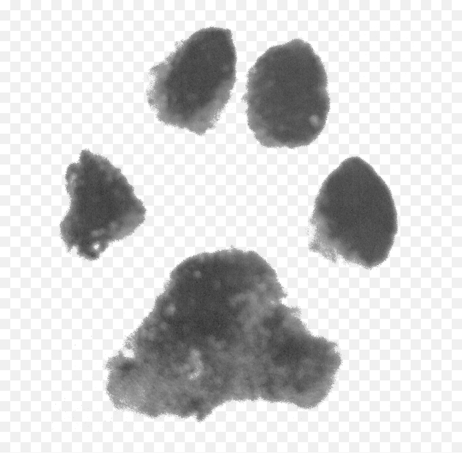 Dog Paw Print Background - Paw Print Png,Dog Paw Print Png - free transparent images - pngaaa.com