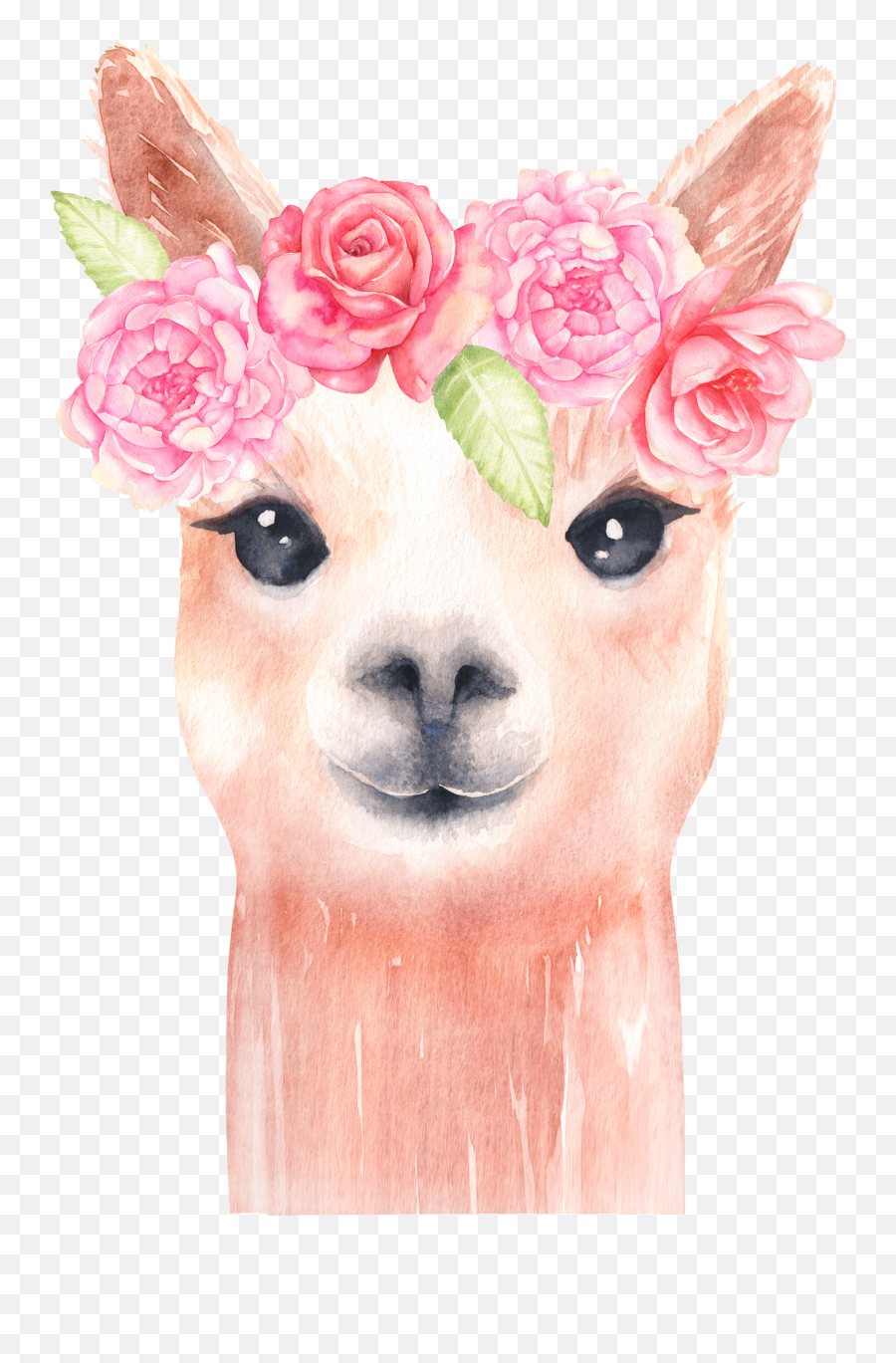 Library Of Alpaca Llama Clip Art Freeuse Download Png Files - Llama Watercolor Clipart,Fortnite Llama Png