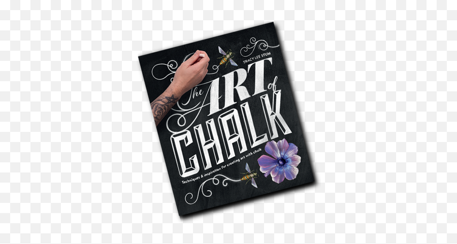 3d Chalk Artist Street Painting - Tracy Lee Stum Art Of Chalk Png,Chalk Drawing Png