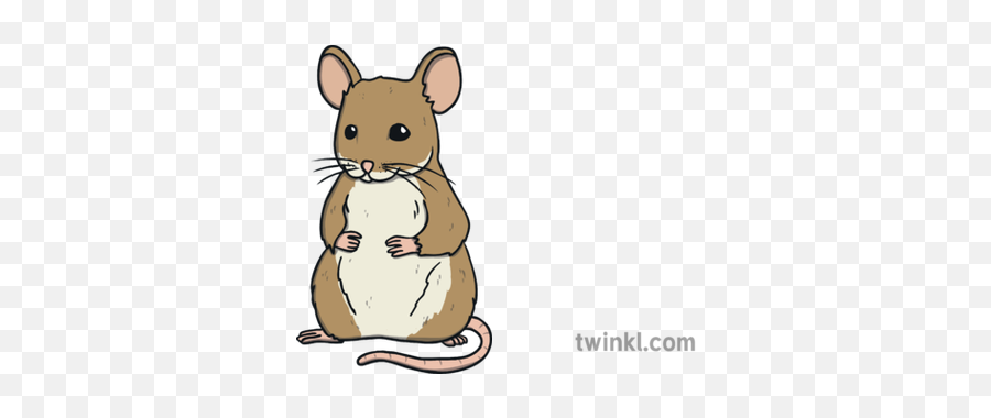 Mouse Animal Open Eyes Ks1 Illustration - Twinkl Animal Figure Png,Mouse Animal Png