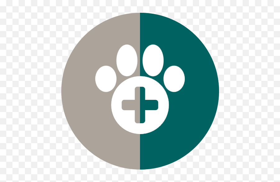 Jonesboro Animal Hospital Veterinarian Pet - Dot Png,Veterinary Icon