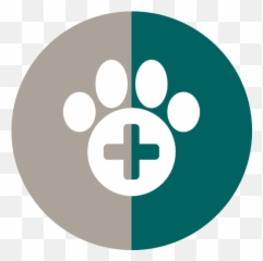 Jonesboro Animal Hospital Veterinarian Pet - Dot Png,Veterinary Icon