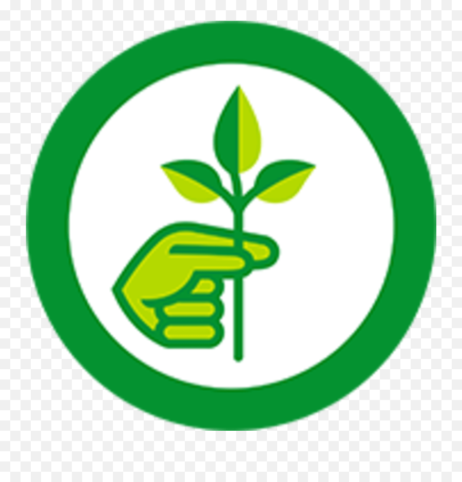 Fiora Brand Product Manufacturing U0026 Sustainability Information - Vertical Png,Gmo Free Icon