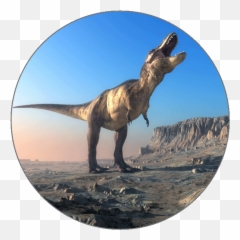 Learn Italian Alphabets - Animals Were In The Mesozoic Era png