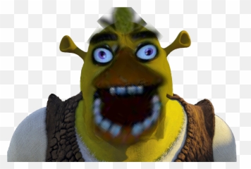 Shrek Meme Pillow Case Printed 35x50 Shrek Meme Png Shrek Face Shrek Meme  Face Shrek Png