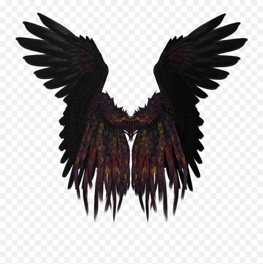 Short Black And Purple Wings Transparent Png - Stickpng Fantasy Wings Png,Wing Png